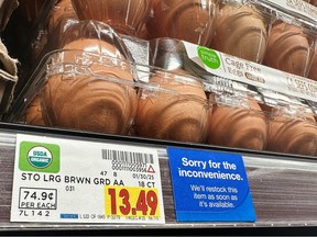 eggs
