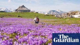 From an Alpine meadow to a Greek island: five of the best spring breaks in Europe